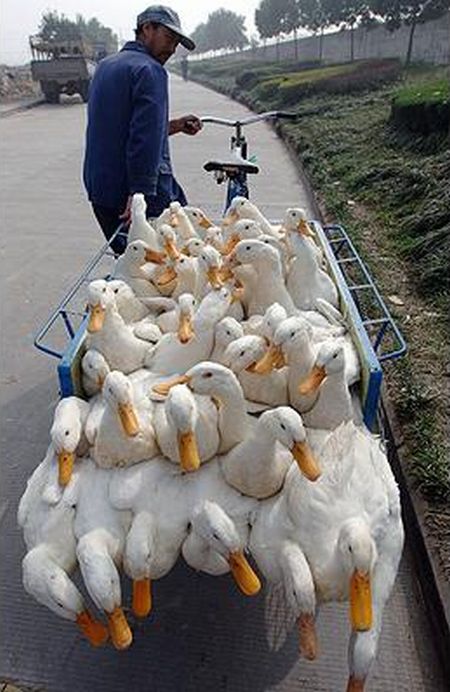 Перевозчик 4 - Как использовать транспорт на 300% (40 фото) Перевозчик 4 - Как использовать транспорт на 300% (40 фото)