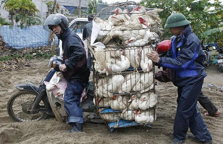 Перевозчик 4 - Как использовать транспорт на 300% (40 фото) Перевозчик 4 - Как использовать транспорт на 300% (40 фото)