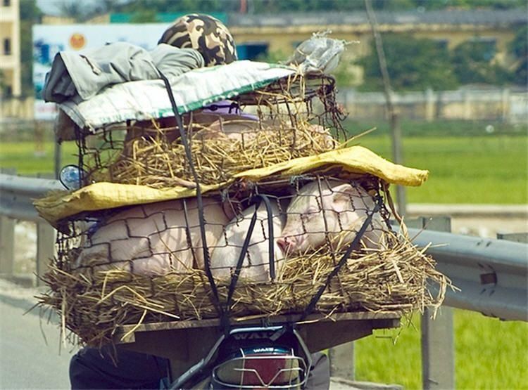 Перевозчик 4 - Как использовать транспорт на 300% (40 фото) Перевозчик 4 - Как использовать транспорт на 300% (40 фото)