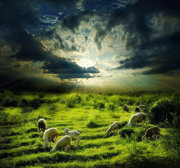 Индонезия в работах Teuku Jody Zulkarnaen (68 фото) Индонезия в работах Teuku Jody Zulkarnaen (68 фото)