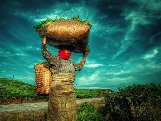 Индонезия в работах Teuku Jody Zulkarnaen (68 фото) Индонезия в работах Teuku Jody Zulkarnaen (68 фото)