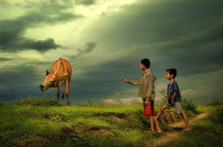 Индонезия в работах Teuku Jody Zulkarnaen (68 фото) Индонезия в работах Teuku Jody Zulkarnaen (68 фото)