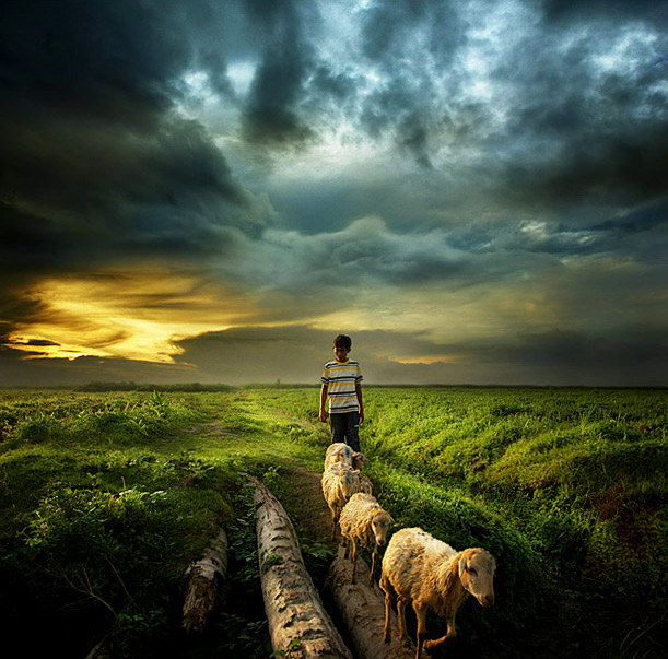 Индонезия в работах Teuku Jody Zulkarnaen (68 фото) Индонезия в работах Teuku Jody Zulkarnaen (68 фото)