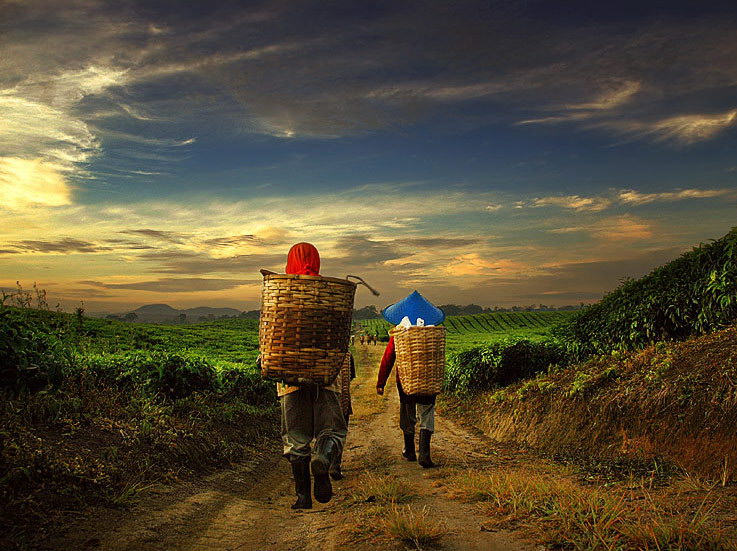 Индонезия в работах Teuku Jody Zulkarnaen (68 фото) Индонезия в работах Teuku Jody Zulkarnaen (68 фото)