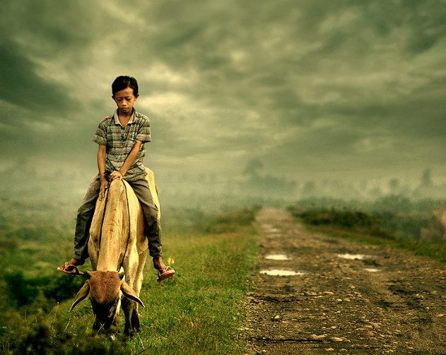 Индонезия в работах Teuku Jody Zulkarnaen (68 фото) Индонезия в работах Teuku Jody Zulkarnaen (68 фото)