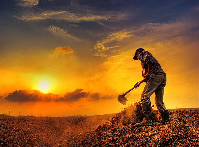 Индонезия в работах Teuku Jody Zulkarnaen (68 фото) Индонезия в работах Teuku Jody Zulkarnaen (68 фото)