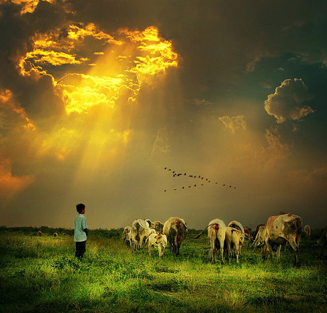 Индонезия в работах Teuku Jody Zulkarnaen (68 фото) Индонезия в работах Teuku Jody Zulkarnaen (68 фото)