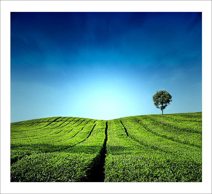 Индонезия в работах Teuku Jody Zulkarnaen (68 фото) Индонезия в работах Teuku Jody Zulkarnaen (68 фото)