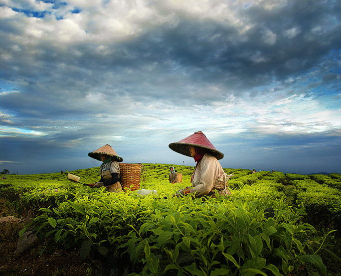 Индонезия в работах Teuku Jody Zulkarnaen (68 фото) Индонезия в работах Teuku Jody Zulkarnaen (68 фото)