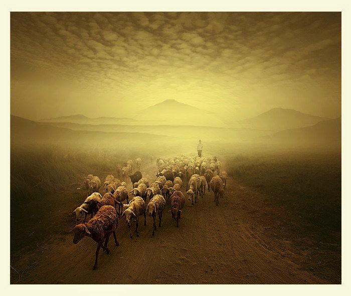 Индонезия в работах Teuku Jody Zulkarnaen (68 фото) Индонезия в работах Teuku Jody Zulkarnaen (68 фото)