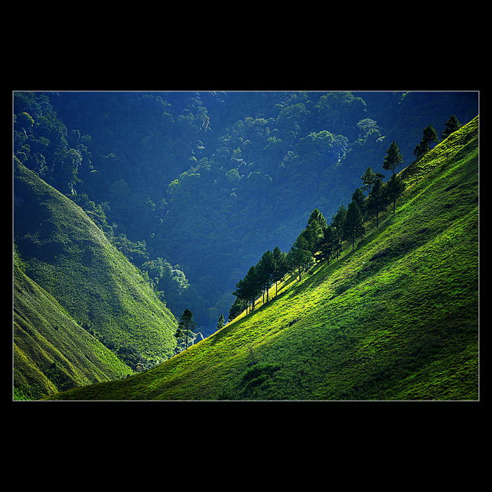 Индонезия в работах Teuku Jody Zulkarnaen (68 фото) Индонезия в работах Teuku Jody Zulkarnaen (68 фото)