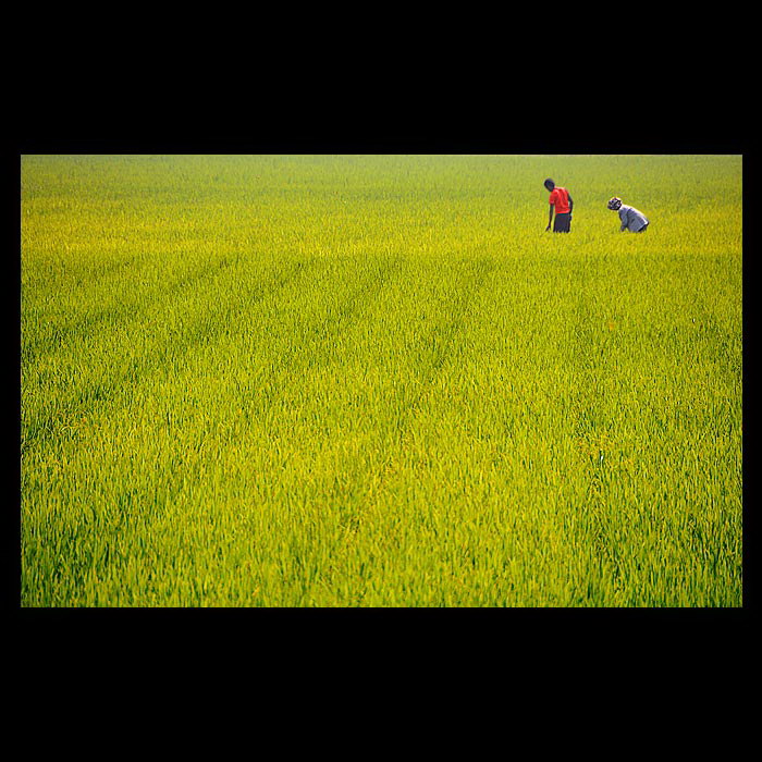 Индонезия в работах Teuku Jody Zulkarnaen (68 фото) Индонезия в работах Teuku Jody Zulkarnaen (68 фото)