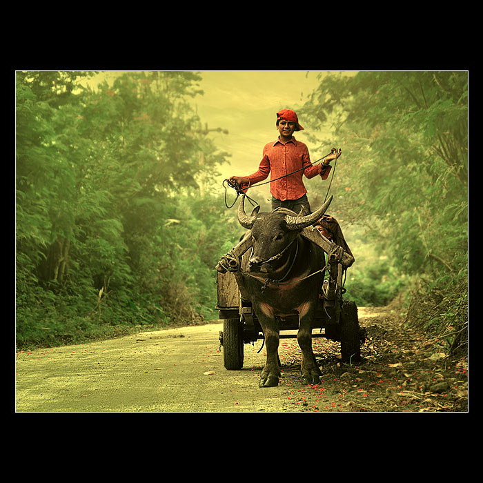 Индонезия в работах Teuku Jody Zulkarnaen (68 фото) Индонезия в работах Teuku Jody Zulkarnaen (68 фото)