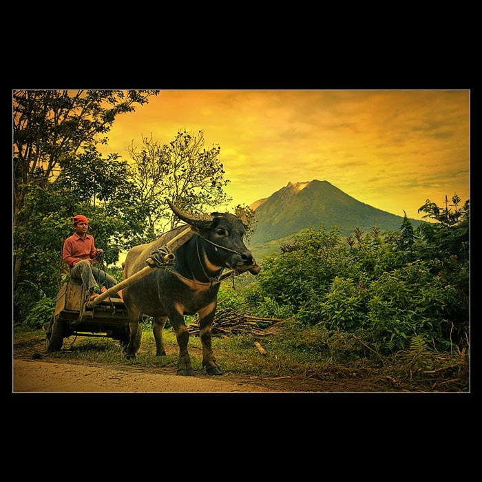 Индонезия в работах Teuku Jody Zulkarnaen (68 фото) Индонезия в работах Teuku Jody Zulkarnaen (68 фото)