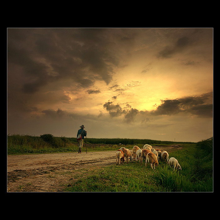 Индонезия в работах Teuku Jody Zulkarnaen (68 фото) Индонезия в работах Teuku Jody Zulkarnaen (68 фото)