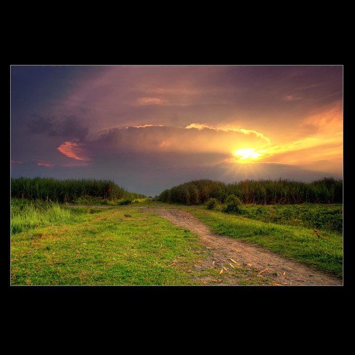 Индонезия в работах Teuku Jody Zulkarnaen (68 фото) Индонезия в работах Teuku Jody Zulkarnaen (68 фото)