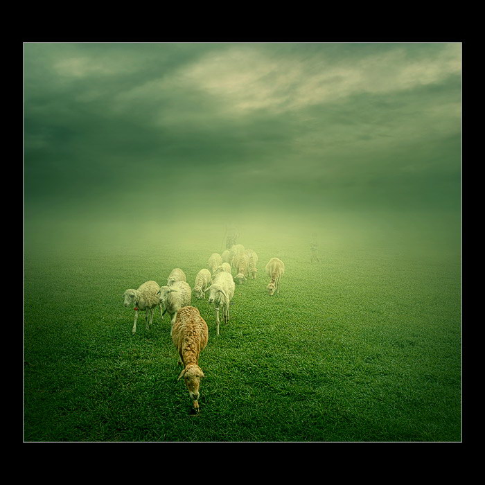 Индонезия в работах Teuku Jody Zulkarnaen (68 фото) Индонезия в работах Teuku Jody Zulkarnaen (68 фото)