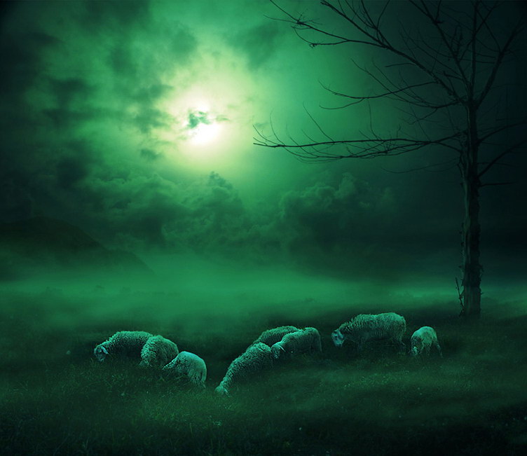 Индонезия в работах Teuku Jody Zulkarnaen (68 фото) Индонезия в работах Teuku Jody Zulkarnaen (68 фото)