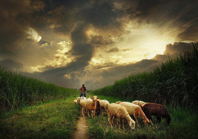 Индонезия в работах Teuku Jody Zulkarnaen (68 фото) Индонезия в работах Teuku Jody Zulkarnaen (68 фото)