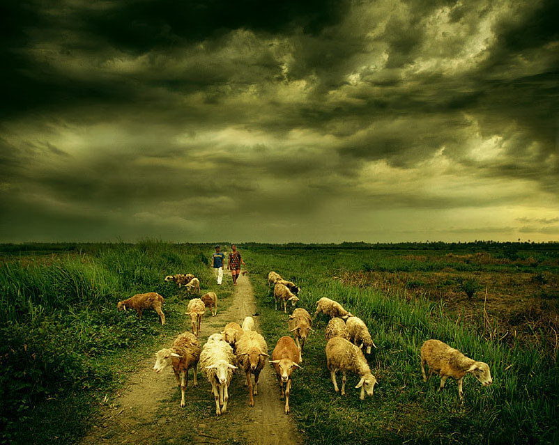 Индонезия в работах Teuku Jody Zulkarnaen (68 фото) Индонезия в работах Teuku Jody Zulkarnaen (68 фото)