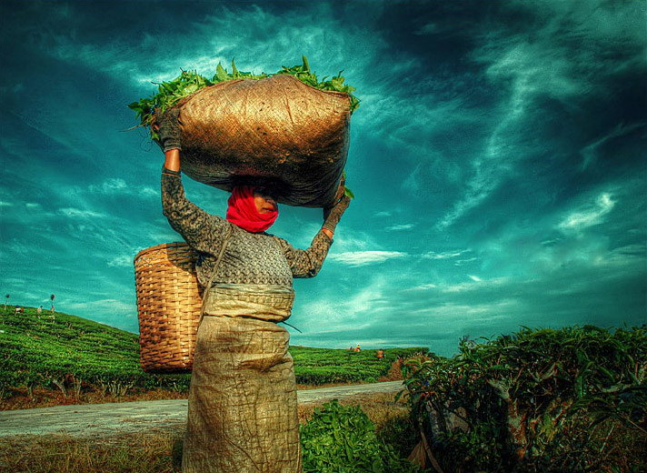 Индонезия в работах Teuku Jody Zulkarnaen (68 фото) Индонезия в работах Teuku Jody Zulkarnaen (68 фото)