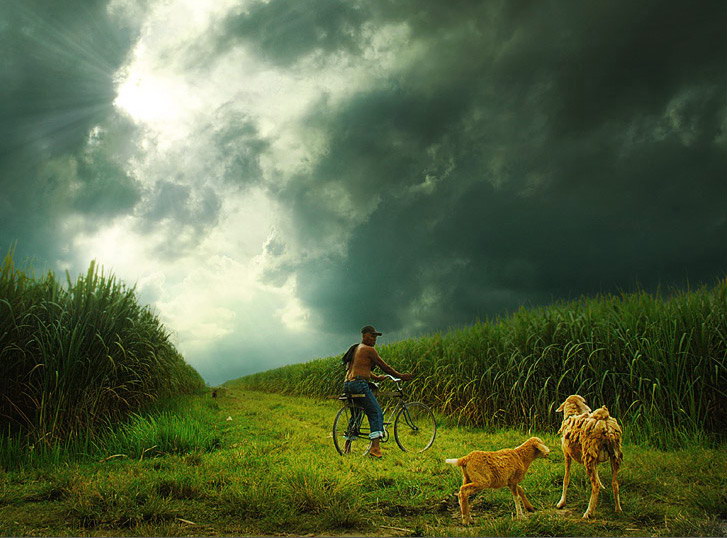 Индонезия в работах Teuku Jody Zulkarnaen (68 фото) Индонезия в работах Teuku Jody Zulkarnaen (68 фото)