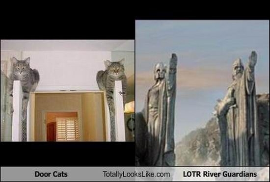 Смешные сходства (95 фото) Смешные сходства (95 фото)