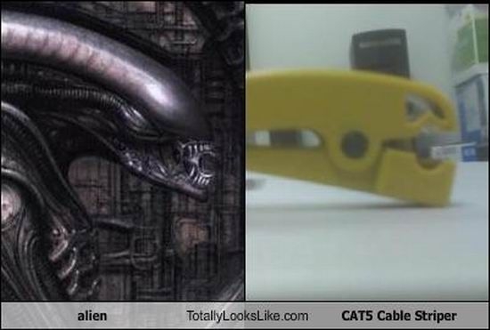 Смешные сходства (95 фото) Смешные сходства (95 фото)