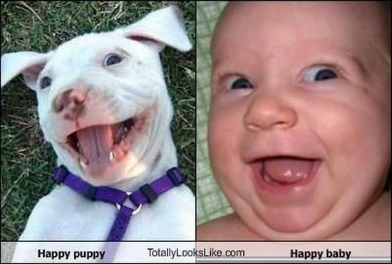 Смешные сходства (95 фото) Смешные сходства (95 фото)