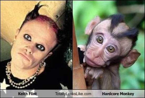 Смешные сходства (95 фото) Смешные сходства (95 фото)