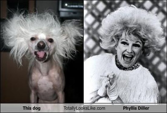 Смешные сходства (95 фото) Смешные сходства (95 фото)