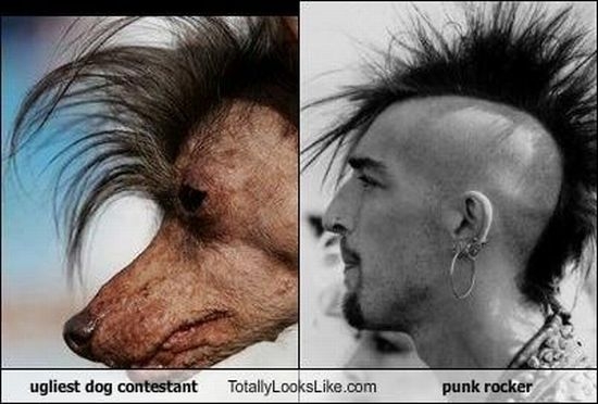 Смешные сходства (95 фото) Смешные сходства (95 фото)