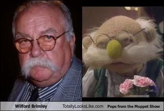 Смешные сходства (95 фото) Смешные сходства (95 фото)