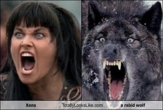 Смешные сходства (95 фото) Смешные сходства (95 фото)