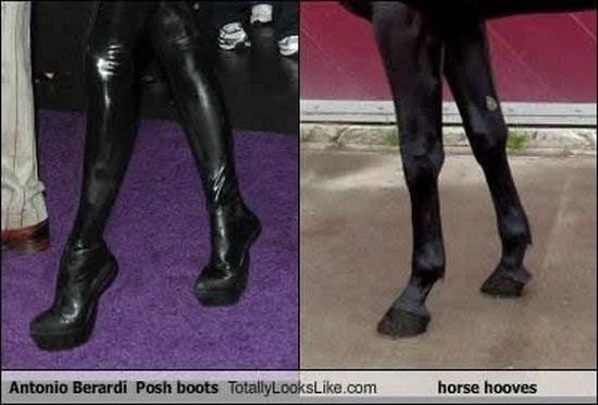 Смешные сходства (95 фото) Смешные сходства (95 фото)