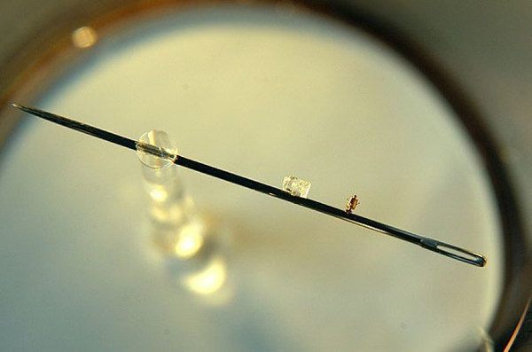 Мастер миниатюр Николай Алдунин (13 фото) Мастер миниатюр Николай Алдунин (13 фото)