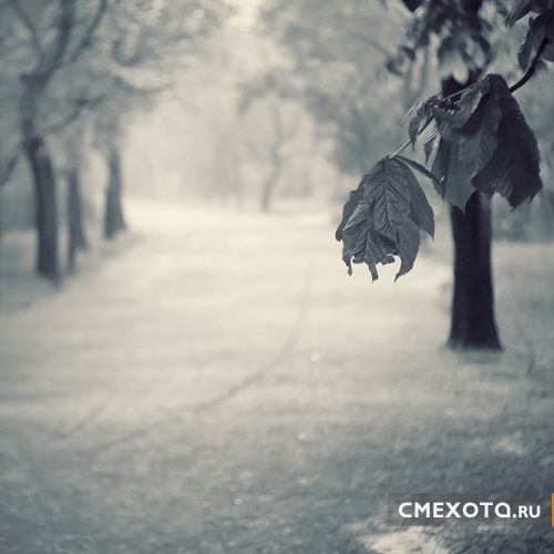 Фотоработы Nick Lisitsin (20 фото плюс архив на 38 фото) Фотоработы Nick Lisitsin (20 фото плюс архив на 38 фото)