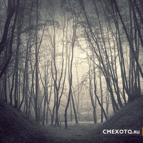 Фотоработы Nick Lisitsin (20 фото плюс архив на 38 фото) Фотоработы Nick Lisitsin (20 фото плюс архив на 38 фото)