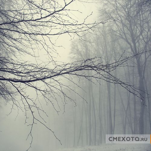 Фотоработы Nick Lisitsin (20 фото плюс архив на 38 фото) Фотоработы Nick Lisitsin (20 фото плюс архив на 38 фото)