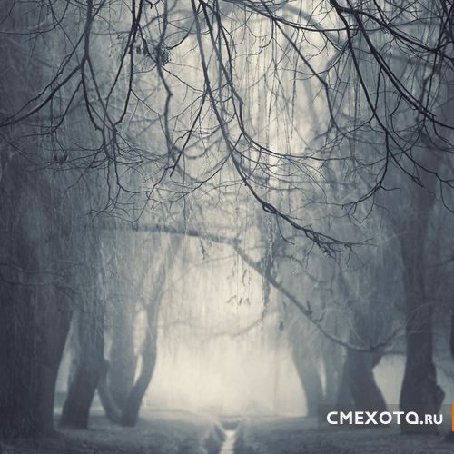 Фотоработы Nick Lisitsin (20 фото плюс архив на 38 фото) Фотоработы Nick Lisitsin (20 фото плюс архив на 38 фото)