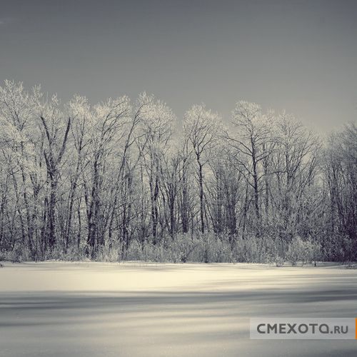 Фотоработы Nick Lisitsin (20 фото плюс архив на 38 фото) Фотоработы Nick Lisitsin (20 фото плюс архив на 38 фото)