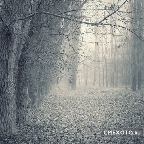 Фотоработы Nick Lisitsin (20 фото плюс архив на 38 фото) Фотоработы Nick Lisitsin (20 фото плюс архив на 38 фото)