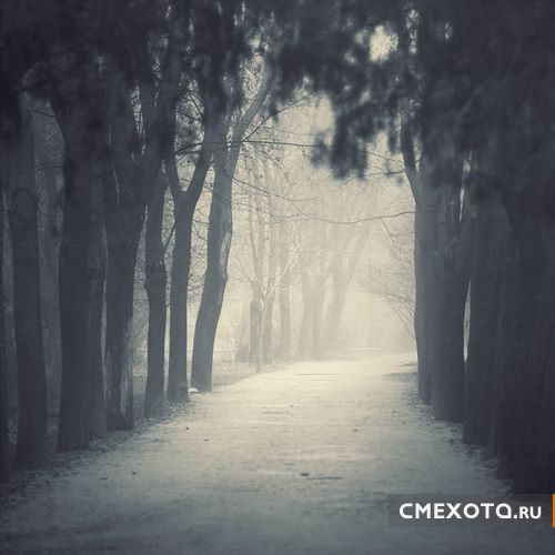 Фотоработы Nick Lisitsin (20 фото плюс архив на 38 фото) Фотоработы Nick Lisitsin (20 фото плюс архив на 38 фото)