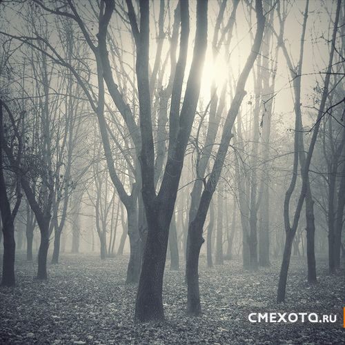 Фотоработы Nick Lisitsin (20 фото плюс архив на 38 фото) Фотоработы Nick Lisitsin (20 фото плюс архив на 38 фото)