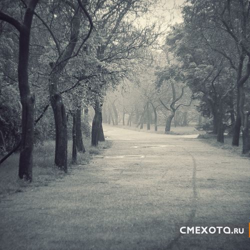 Фотоработы Nick Lisitsin (20 фото плюс архив на 38 фото) Фотоработы Nick Lisitsin (20 фото плюс архив на 38 фото)