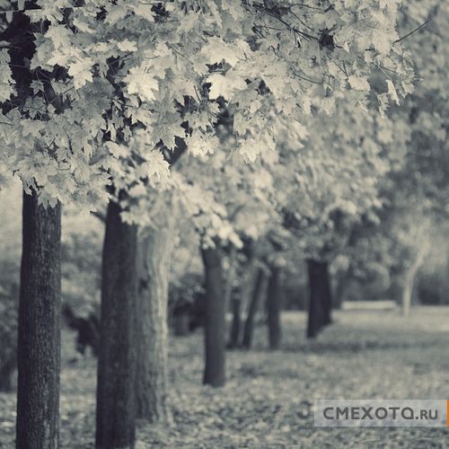 Фотоработы Nick Lisitsin (20 фото плюс архив на 38 фото) Фотоработы Nick Lisitsin (20 фото плюс архив на 38 фото)