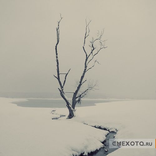 Фотоработы Nick Lisitsin (20 фото плюс архив на 38 фото) Фотоработы Nick Lisitsin (20 фото плюс архив на 38 фото)