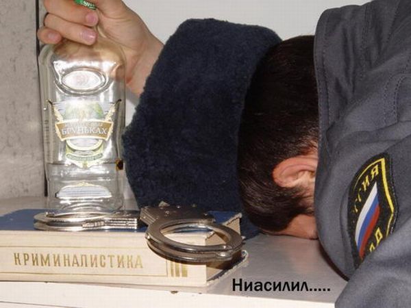 Прикольные картинки (Новое) (49 фото +1) Прикольные картинки (Новое) (49 фото +1)