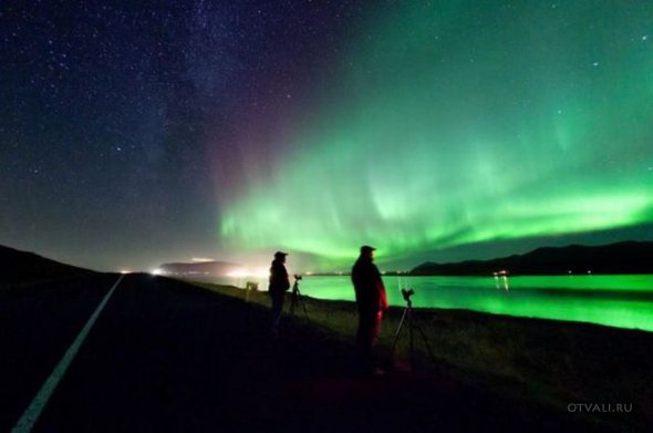 Прикольные картинки (Новое) (49 фото +1) Прикольные картинки (Новое) (49 фото +1)