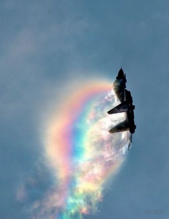 Прикольные картинки (Новое) (49 фото +1) Прикольные картинки (Новое) (49 фото +1)